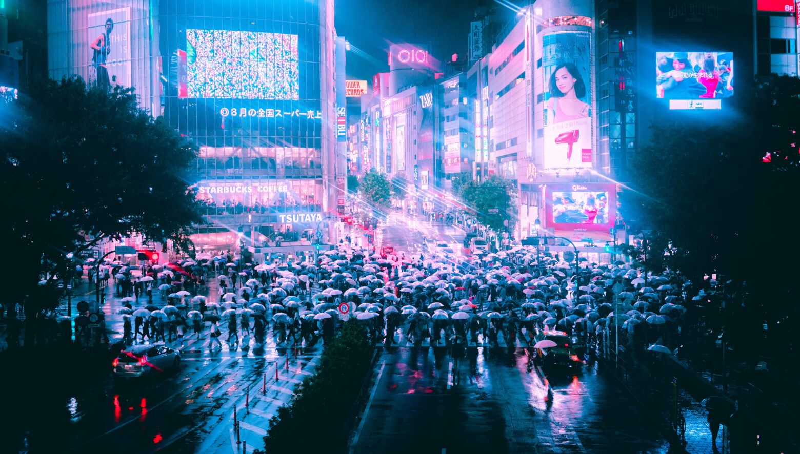 blog-2a.jpg